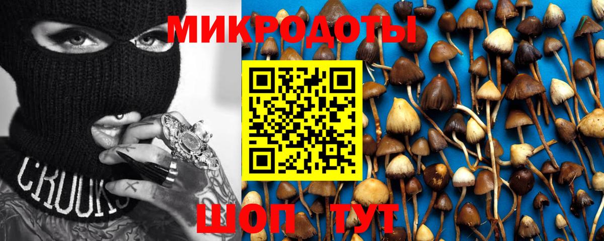 Псилоцибиновые грибы Cubensis Лыткарино